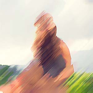 Premium WordPress Themes